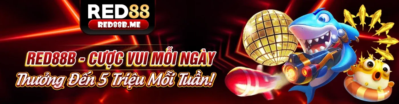 Hình ảnh đại diện cho liên kết mới NN88 an toàn và hiện đại
